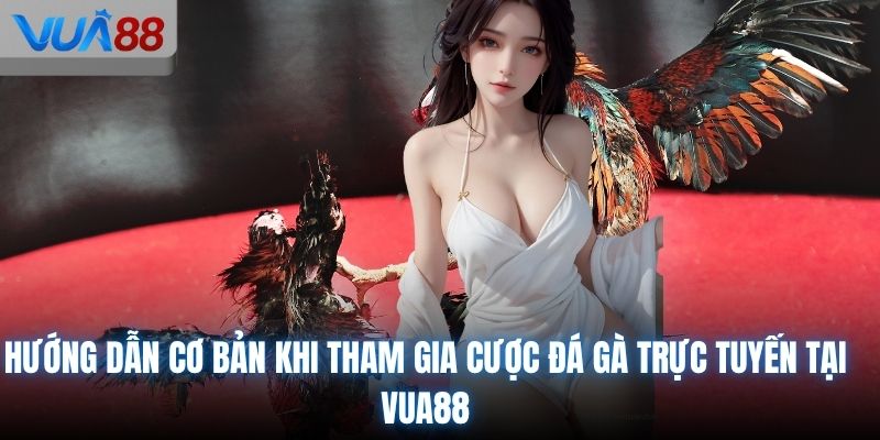 Hướng dẫn cơ bản khi tham gia cược đá gà trực tuyến tại VUA88